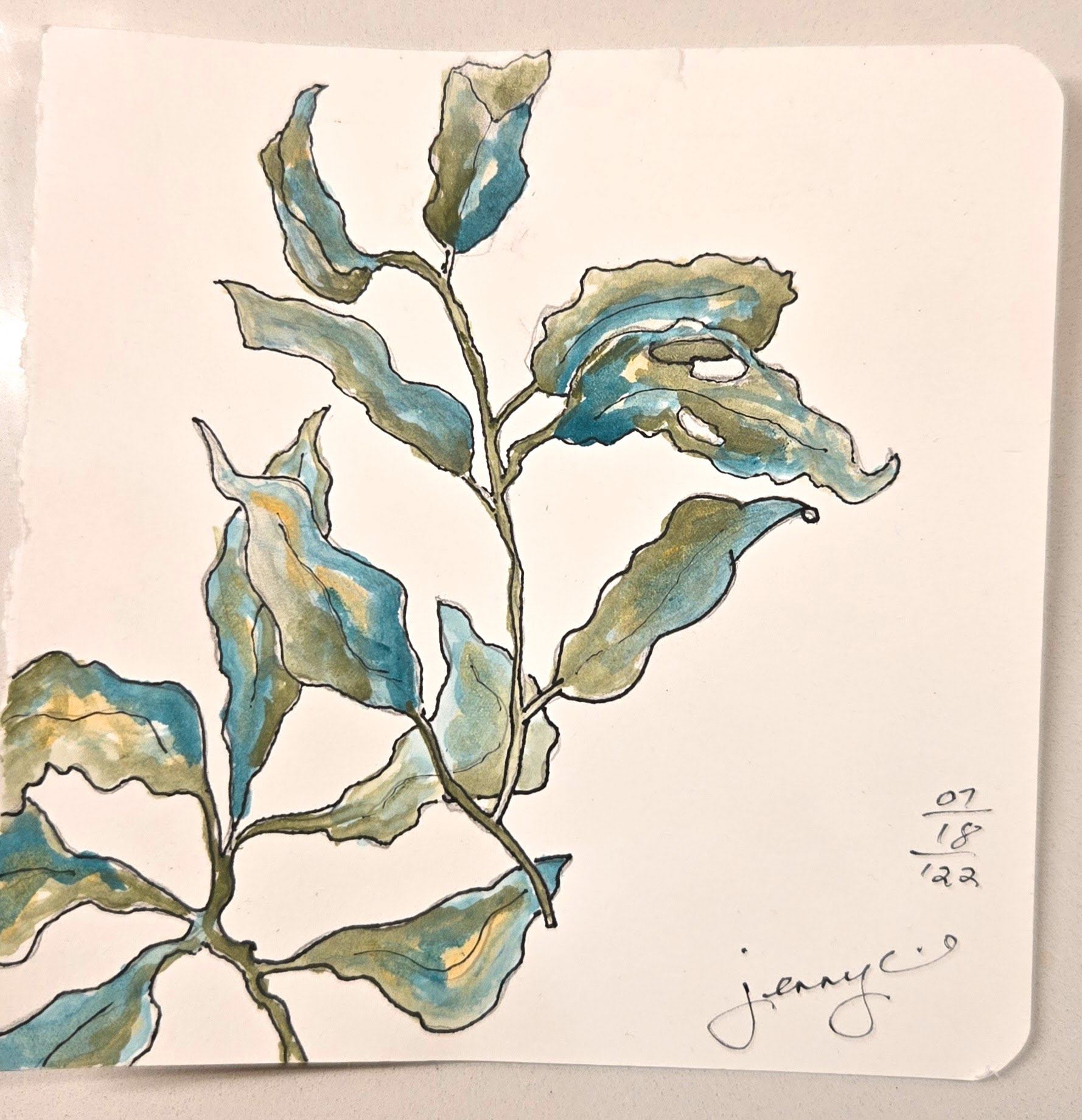 Leaves