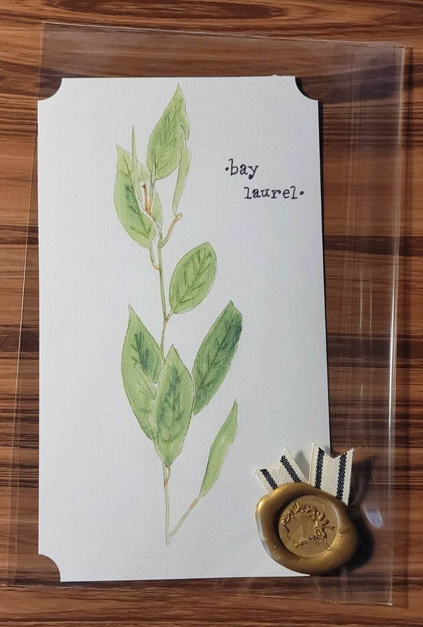 Bay Laurel