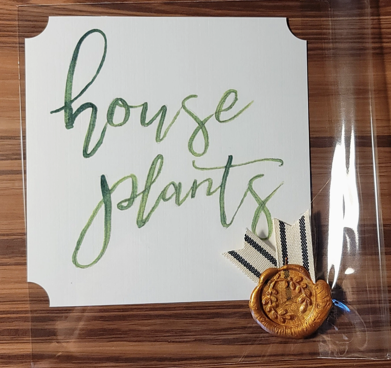 House Plants