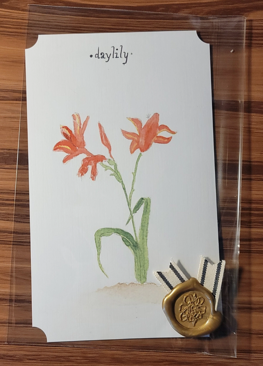 Daylily