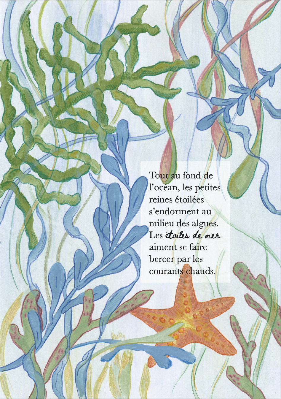 Illustrations réalisées à la main (acrylique et crayon de couleurs)