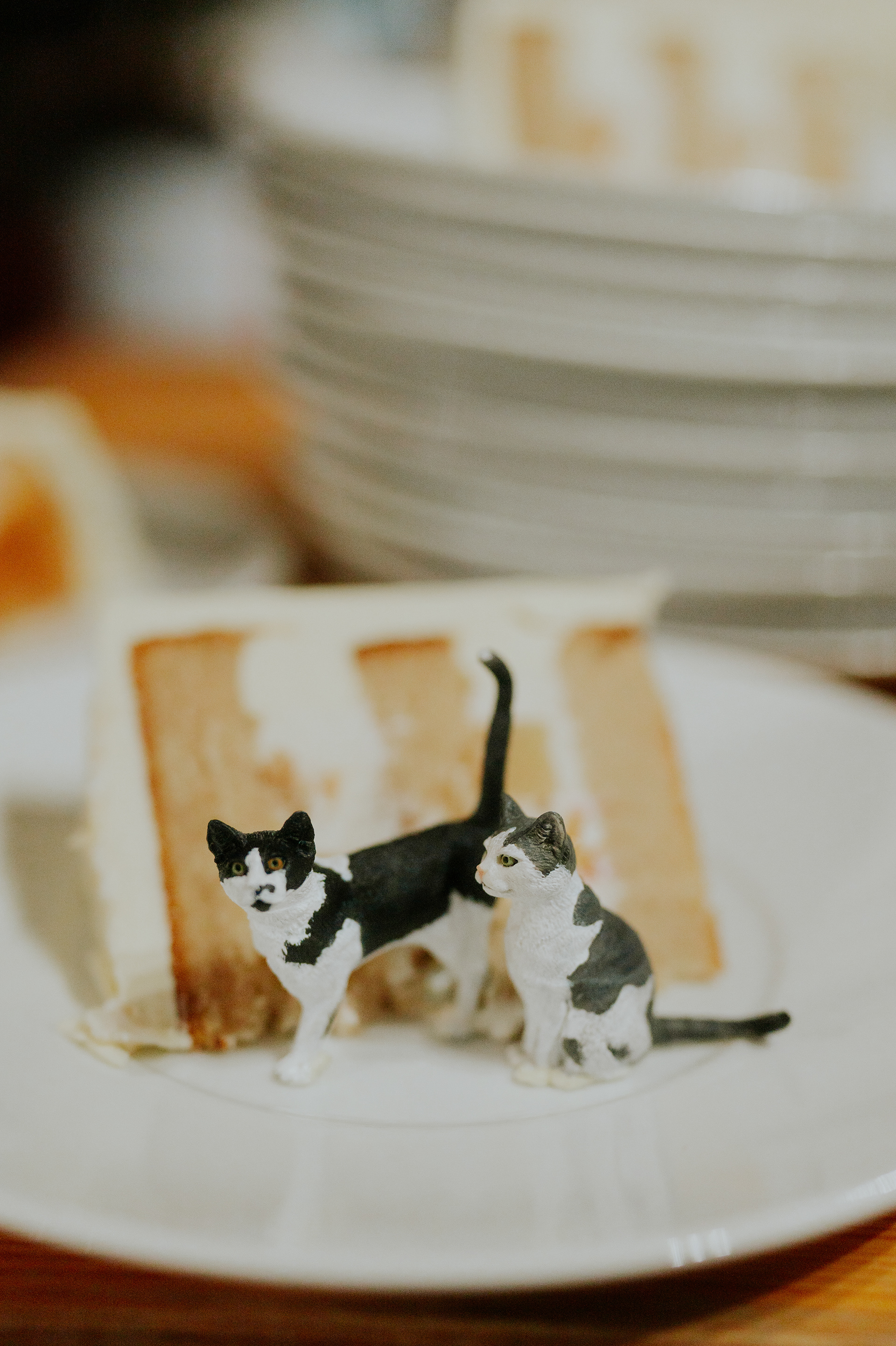 Figurines faites sur-mesure à l'image des chats des mariés