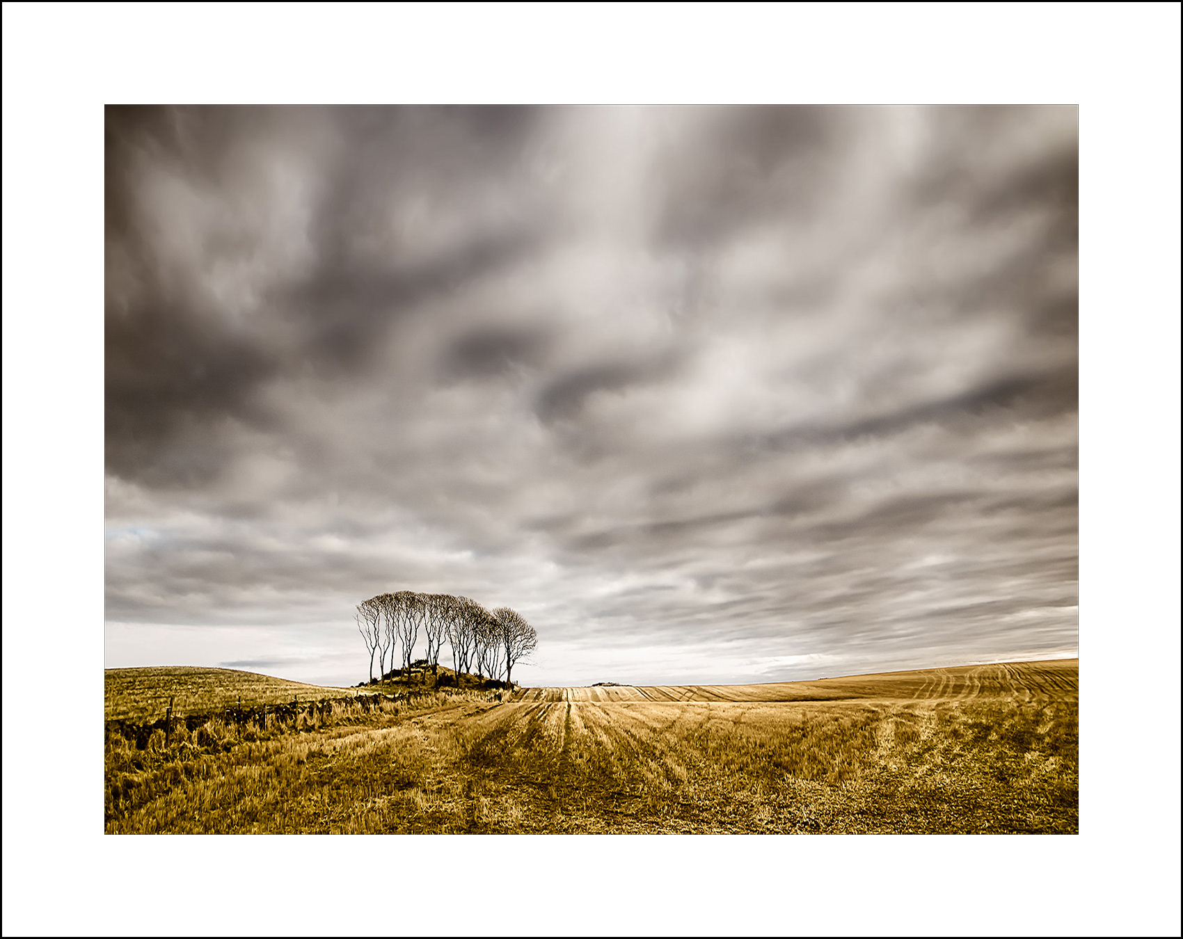 Copse