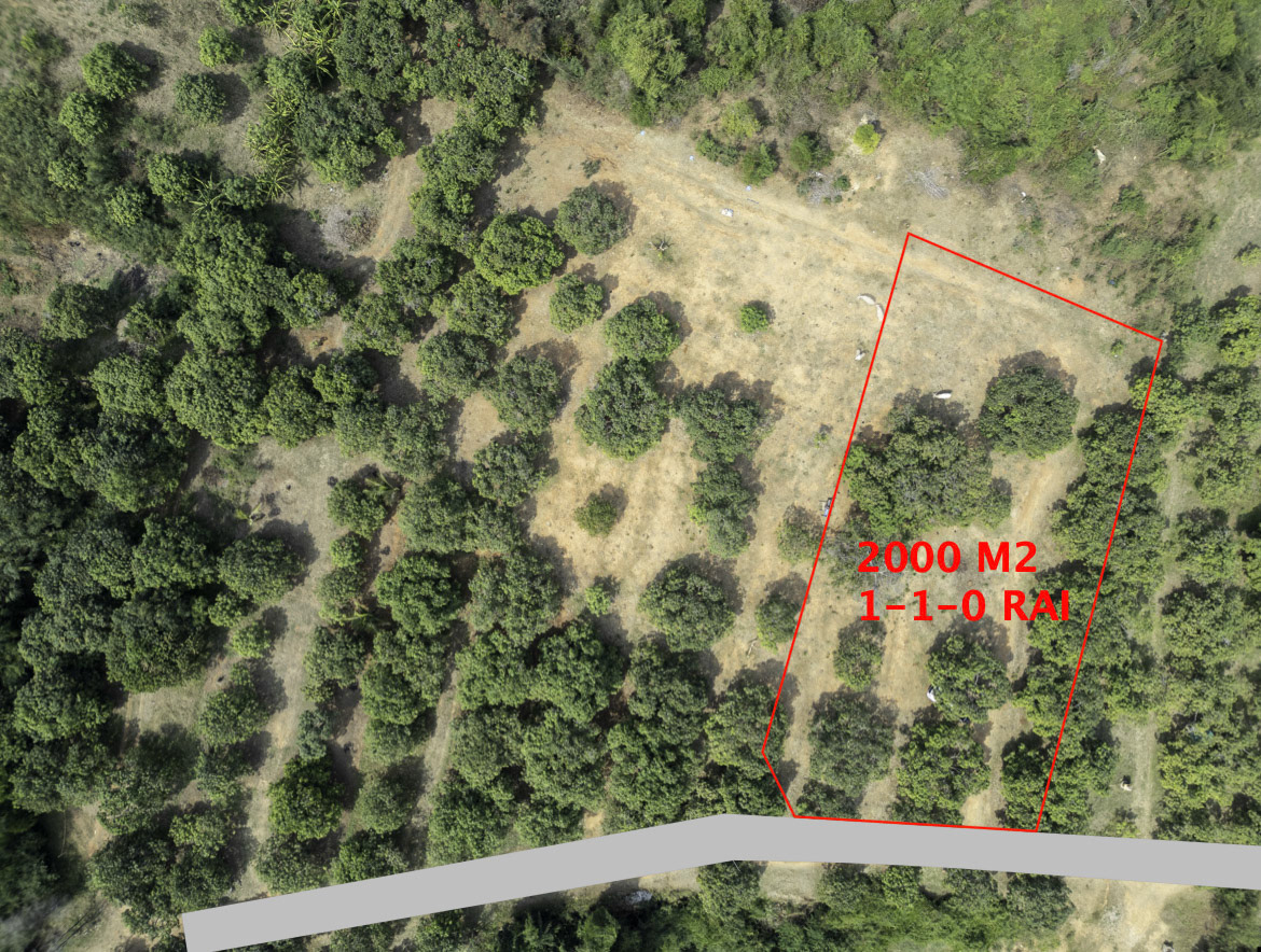 Sold individually, Plot #1