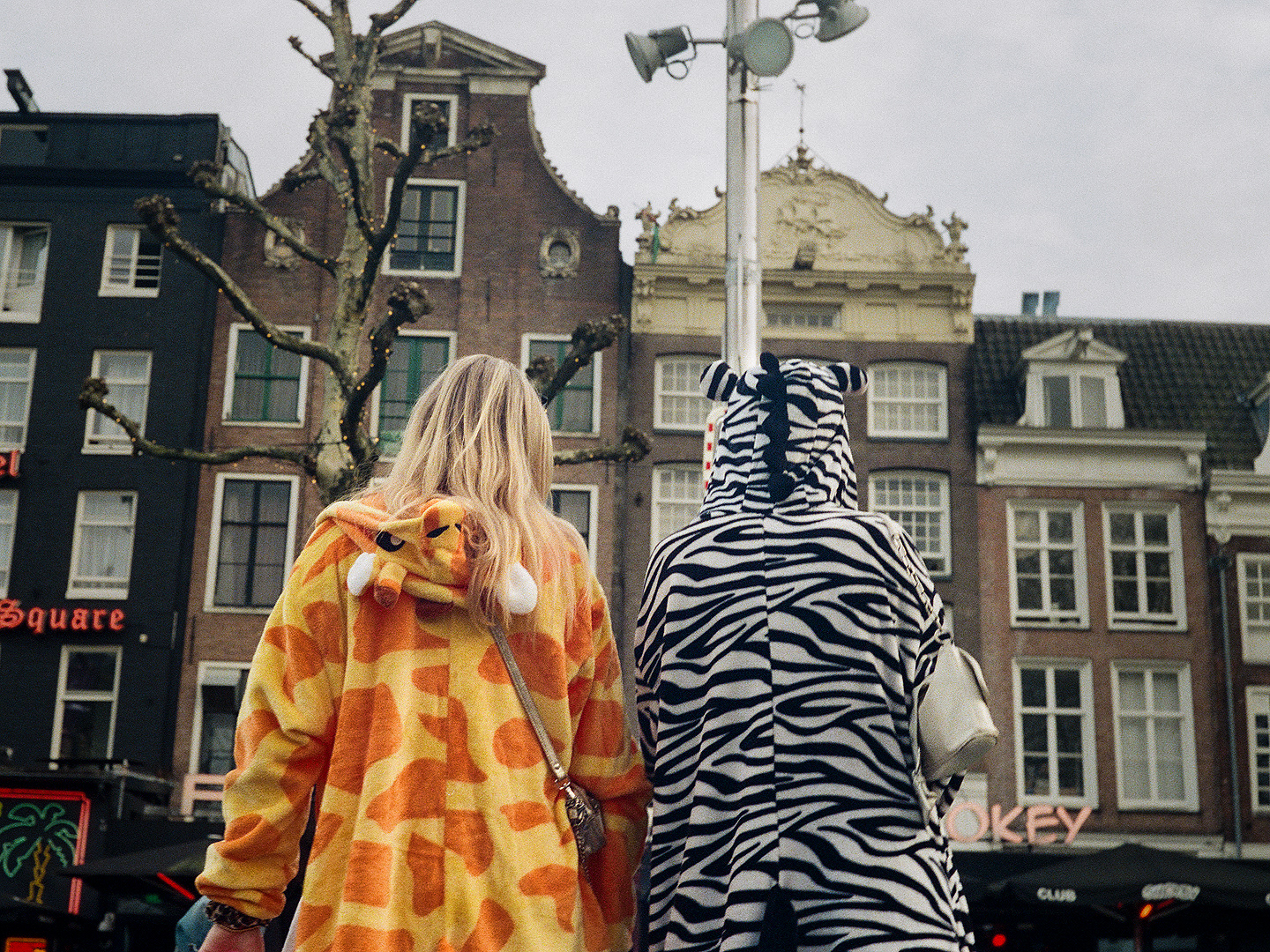 Zoo (Amsterdam)
