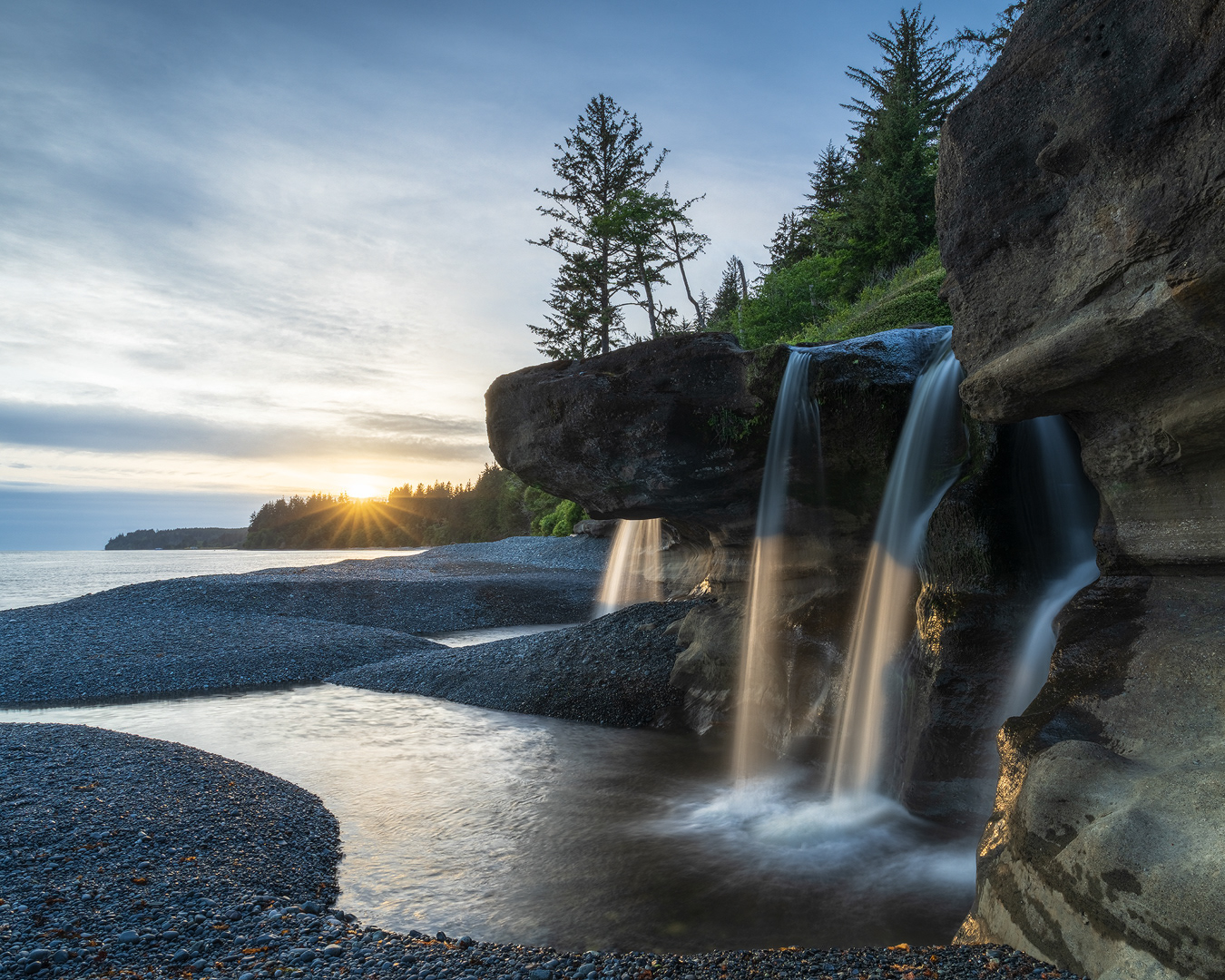 Coastal Carver