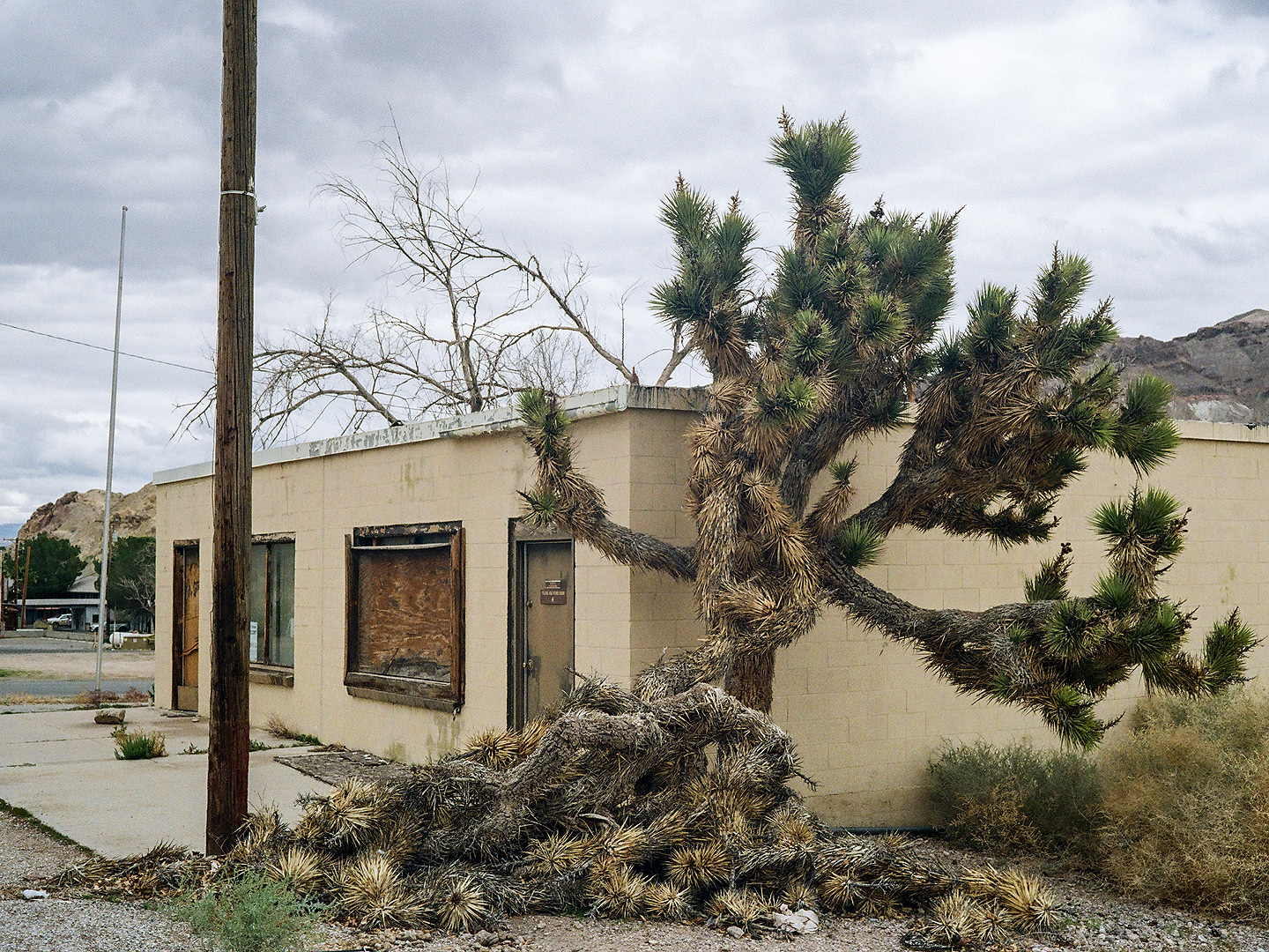 Beatty & Rhyolite XII