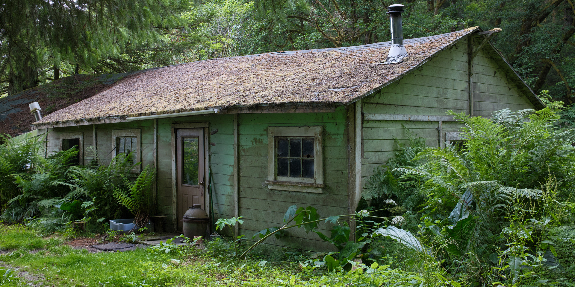 Cabin In The Woods