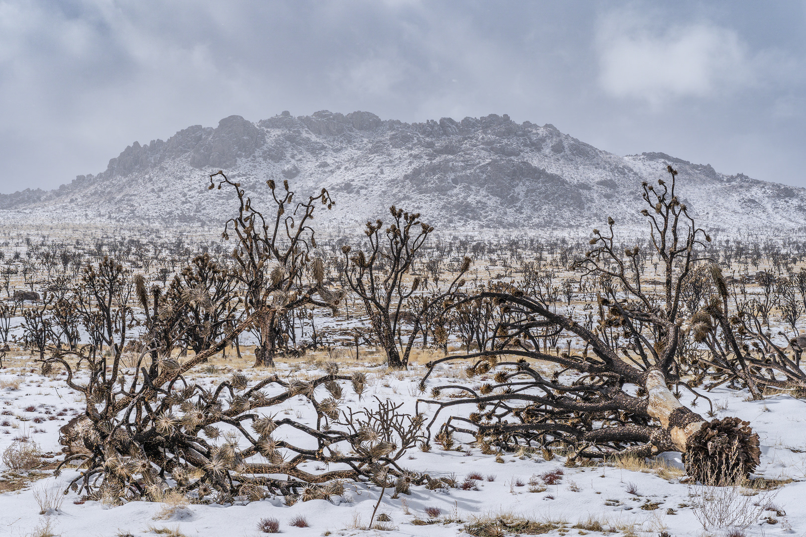 Hell Froze Over