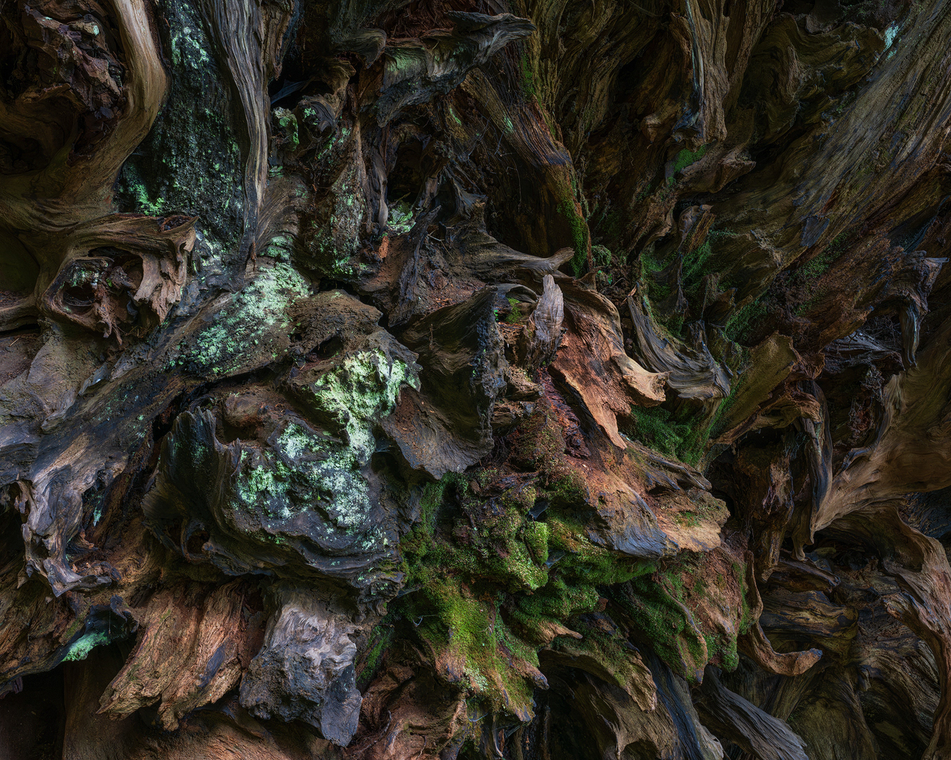 Primordial