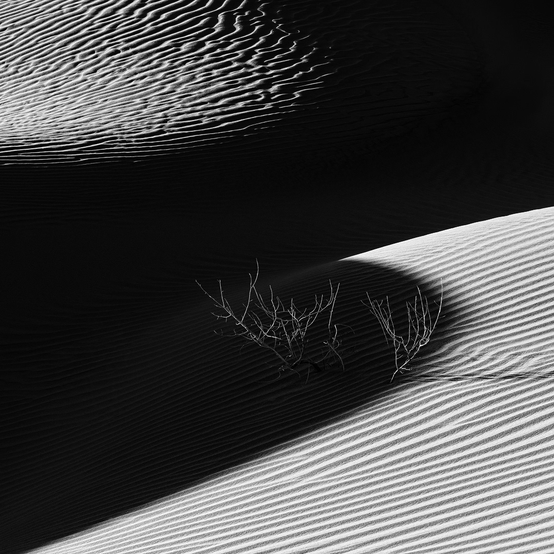 Impressions