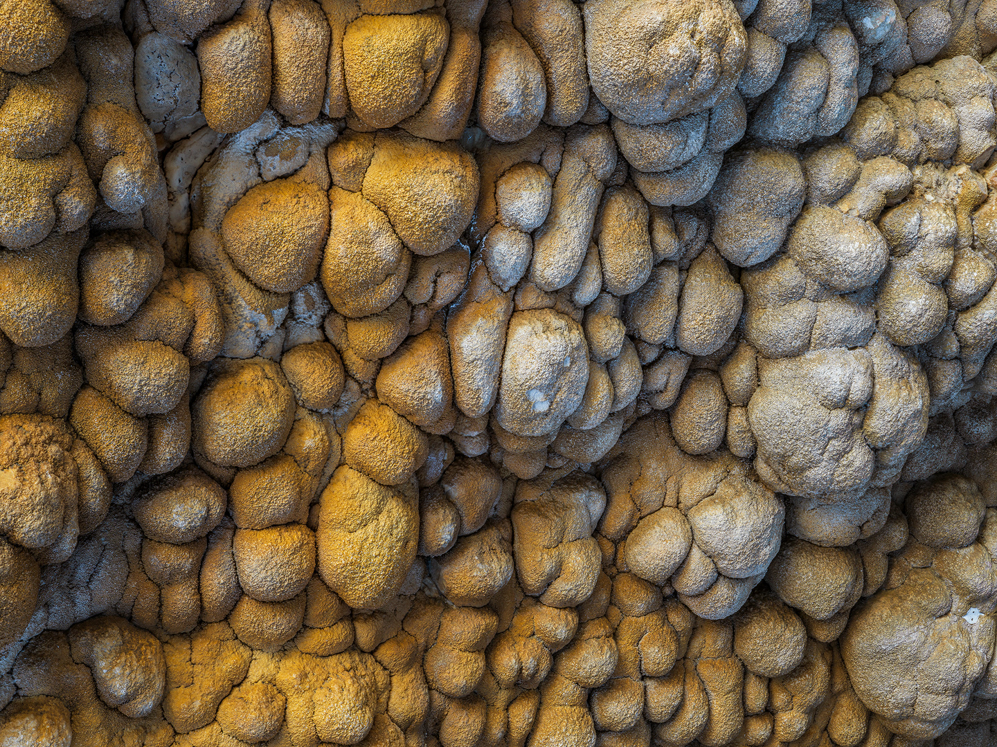 Gold Rush II
