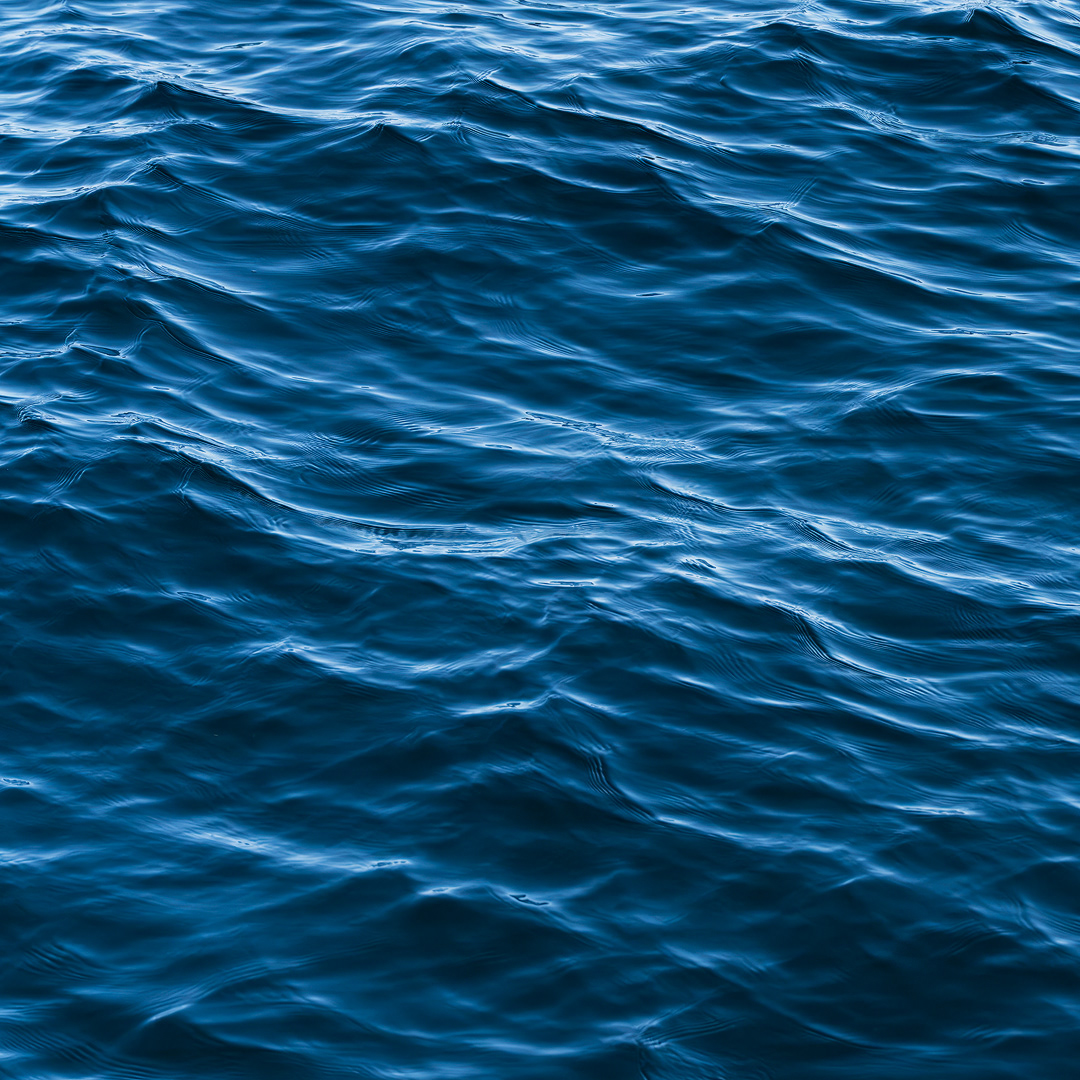 Monterey Bay IV