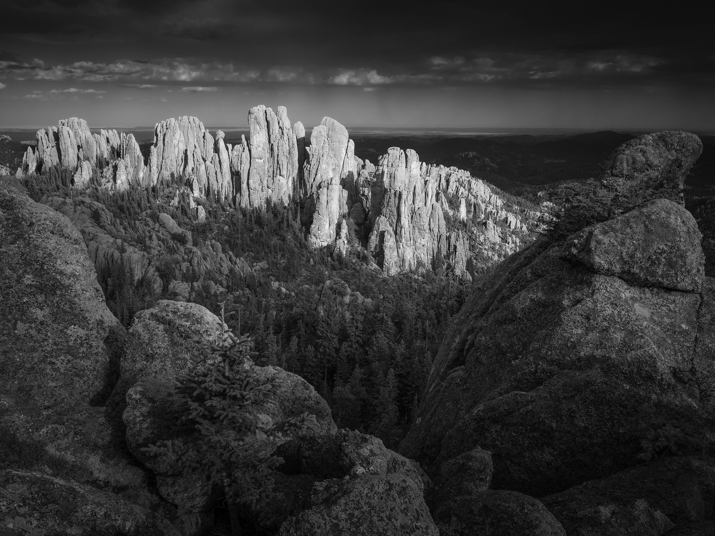 Black Hills