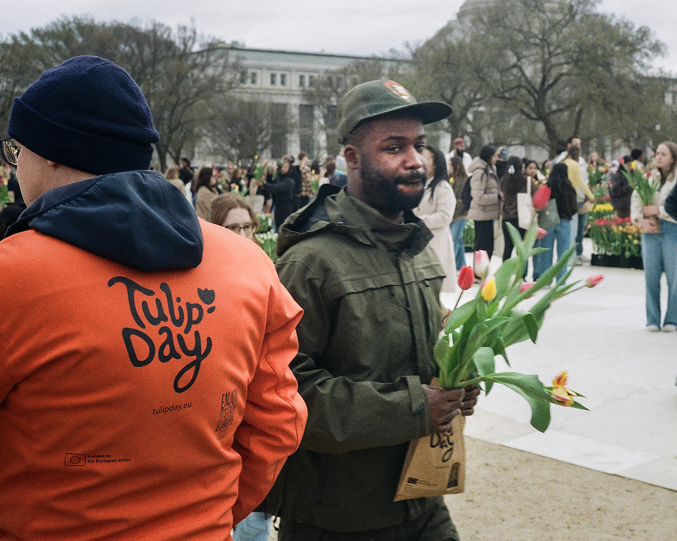 Tulip Day (DC)