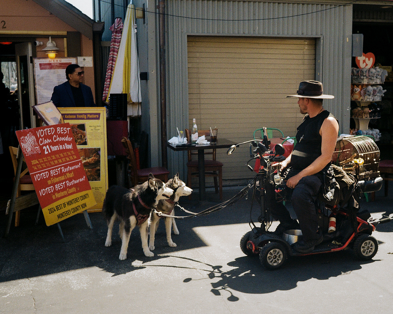 Mushing