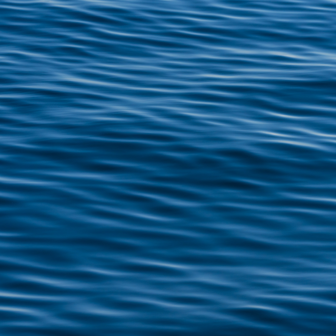 Monterey Bay III