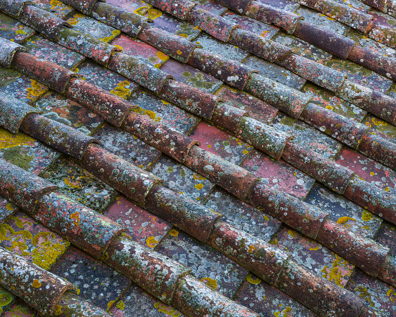 Terracotta