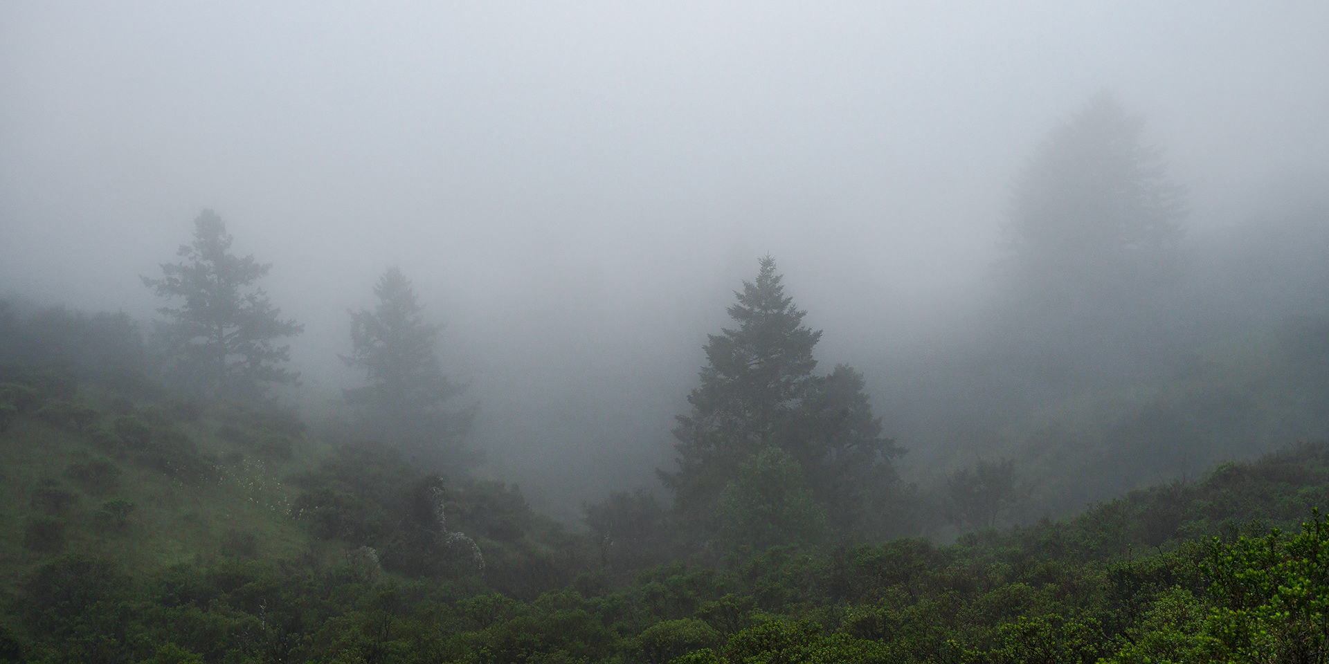 Hazy Little Things