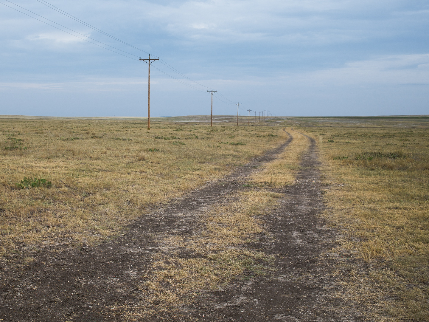 Farm Road