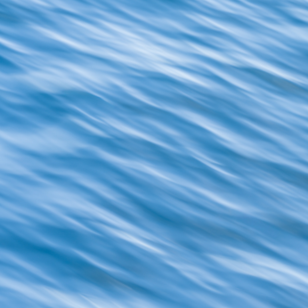 Monterey Bay V