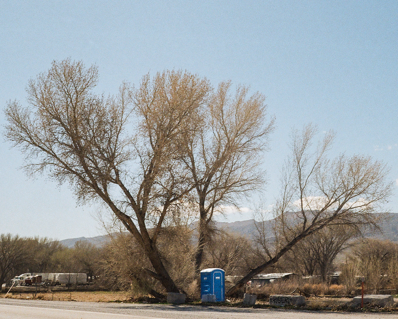 Scenic Shit (NV)