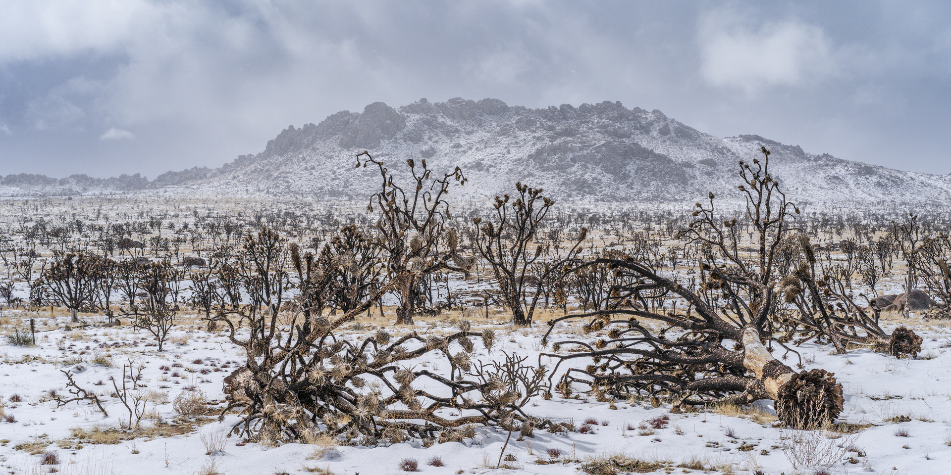 Hell Froze Over