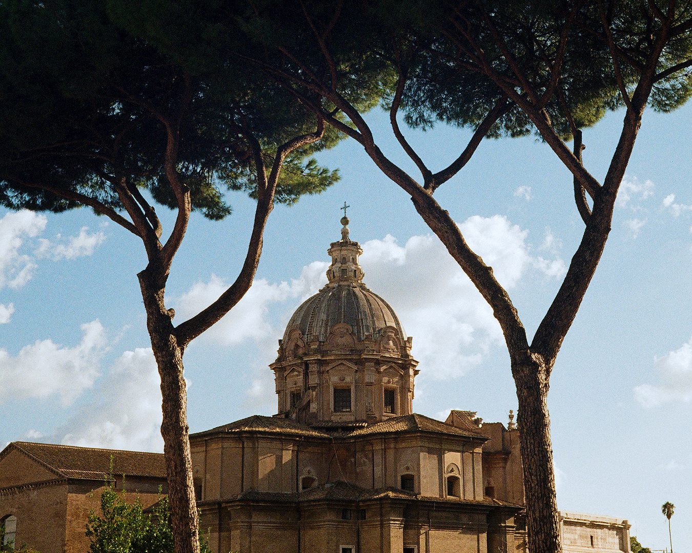 Stone Pines II (Rome)