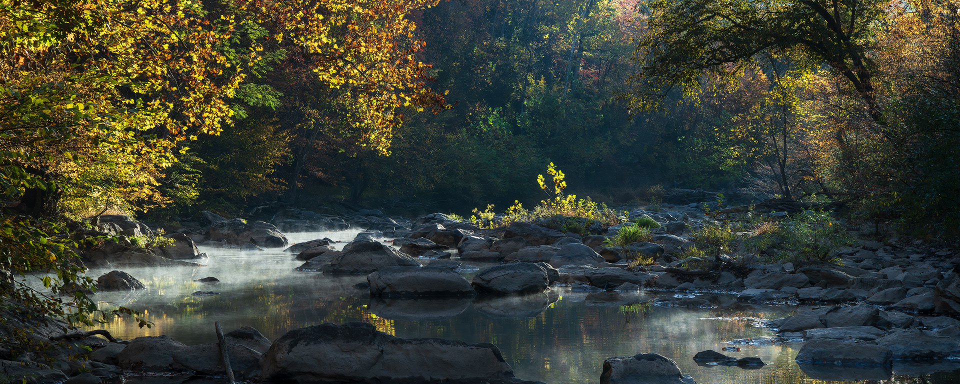 Just Another Day In The Sun