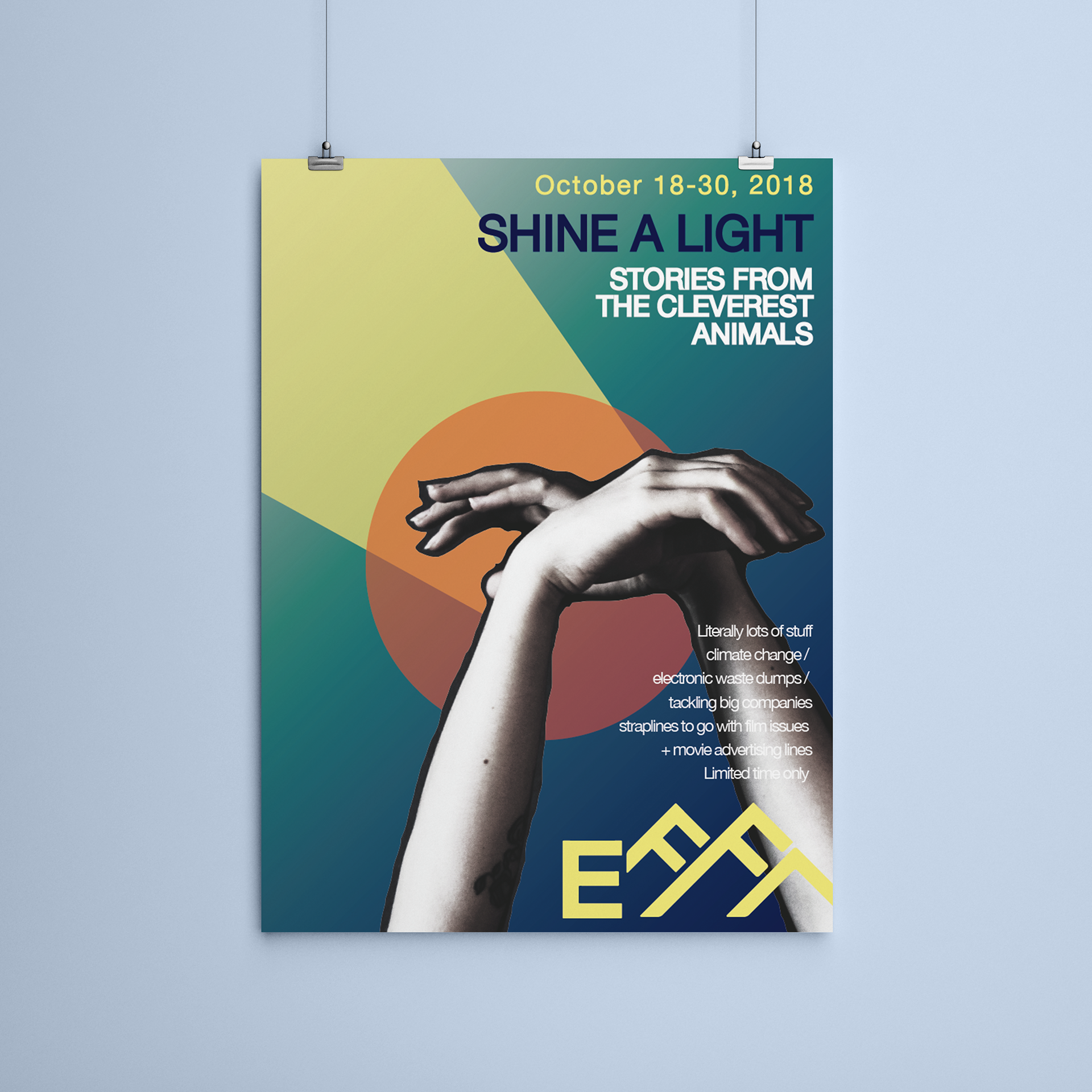EFFA: Branding speculate, 2018