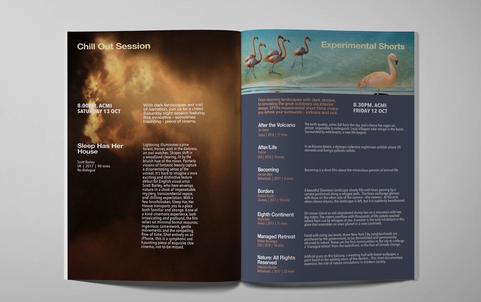 EFFA: festival programme, 2018