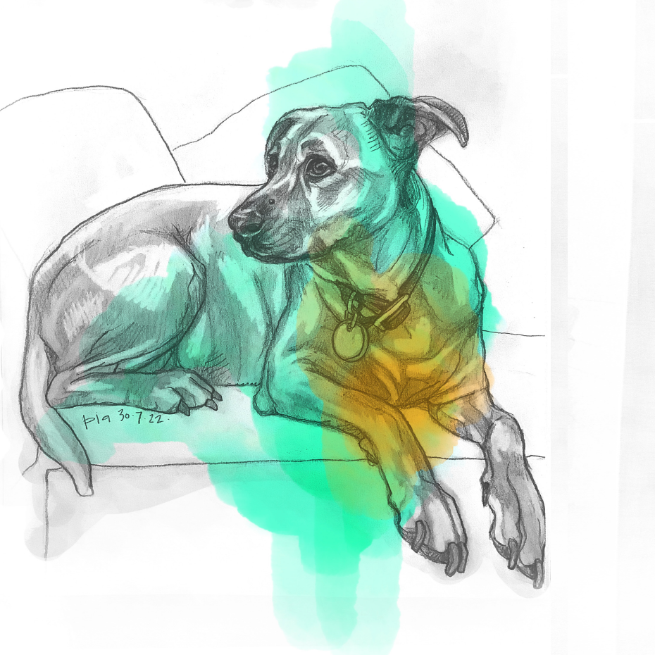 Zoe, 2022