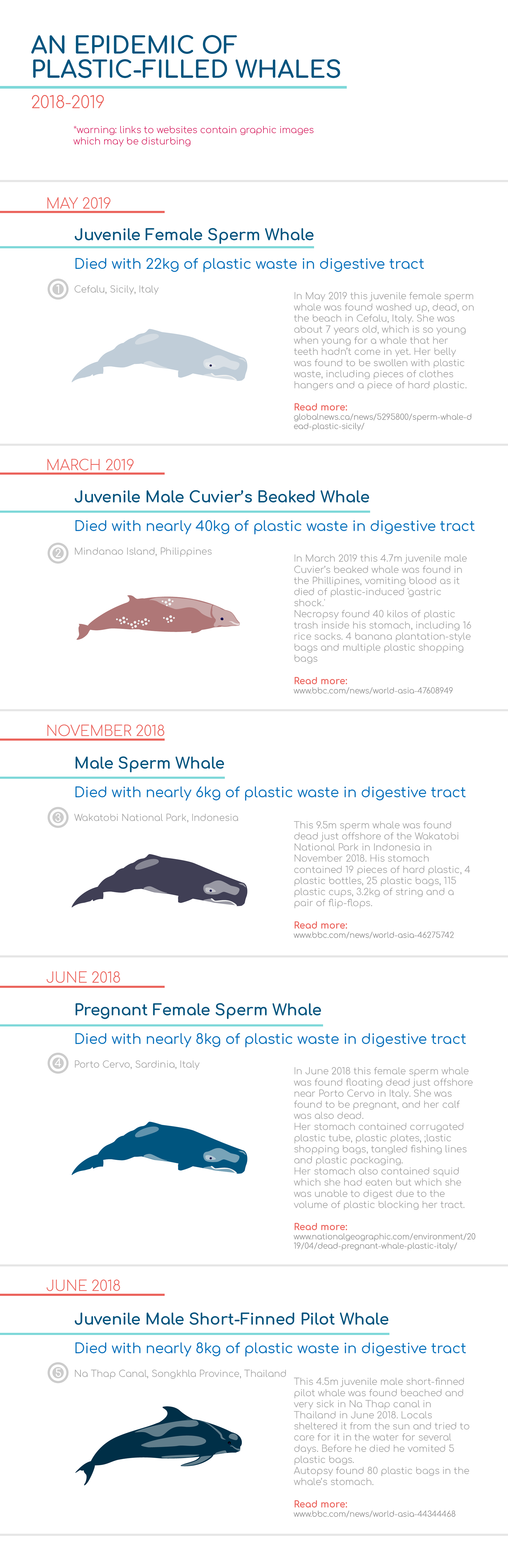 National Geographic 2019 Plastics Innovation Challenge: infographic design, 2019