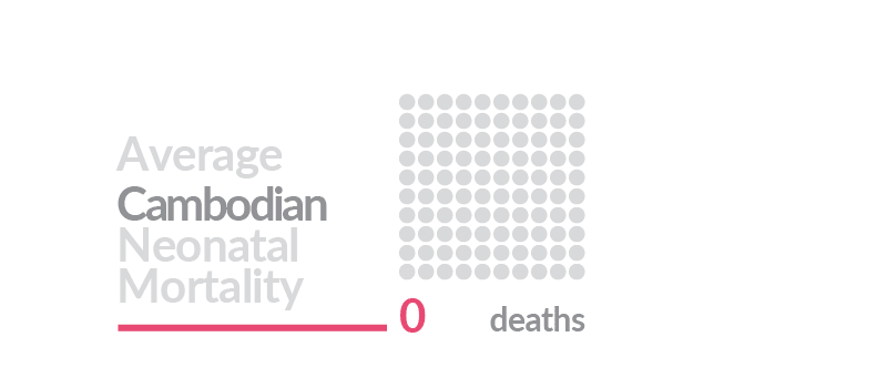 AHC: website infographic animations, 2019
