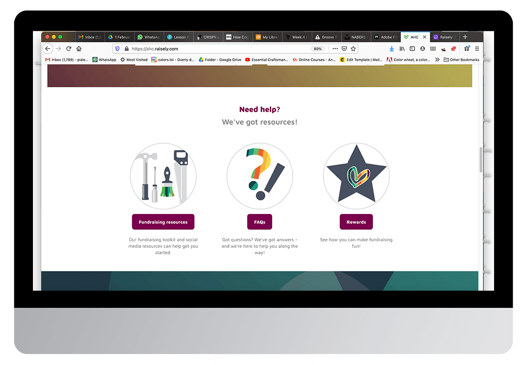 AHC: Raisely fundraising platform, 2020