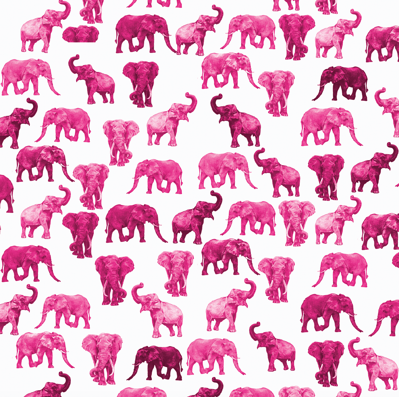 Spoonflower: pattern, 2020