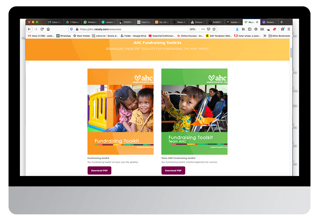 AHC: Raisely fundraising platform, 2020