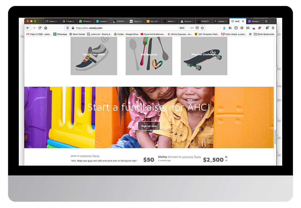 AHC: Raisely fundraising platform, 2020