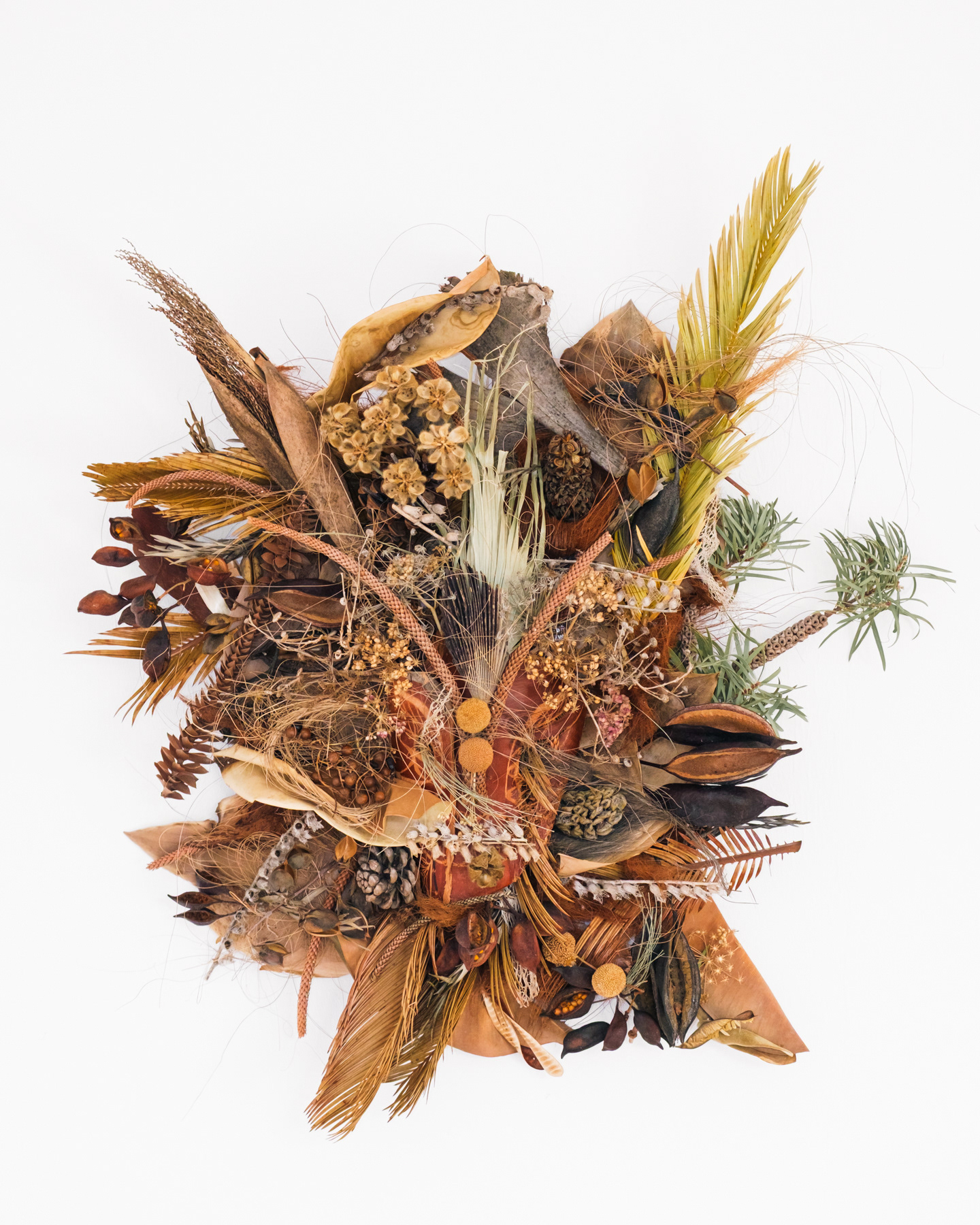 Anima, eine Wandskulptur aus Samen und Pflanzenteilen von Eva Stöflin. Fotografie von Georgi Sarkezi