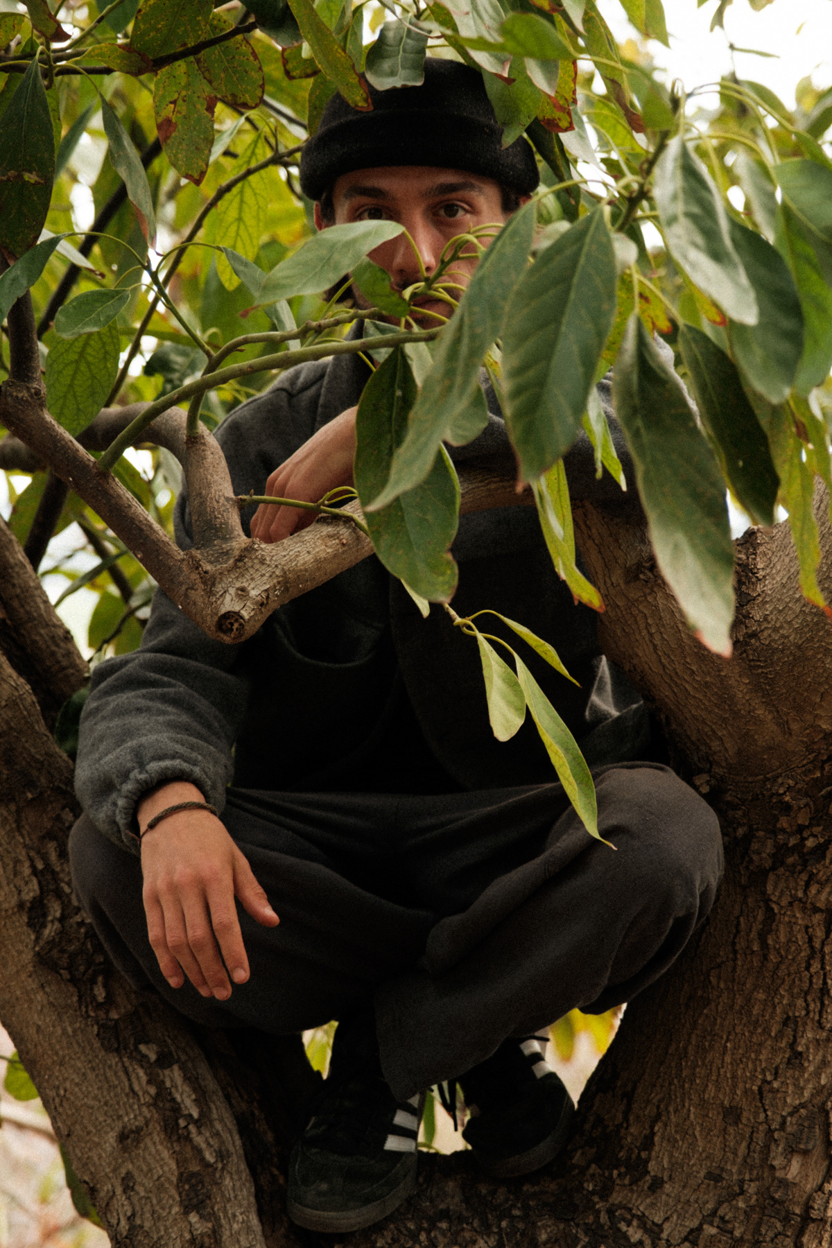 Selbstportrait von Georgi Sarkezi. Er sitzt in einem Baum und schaut mit scharfem, klaren Blick in die Kamera wie ein Panther.