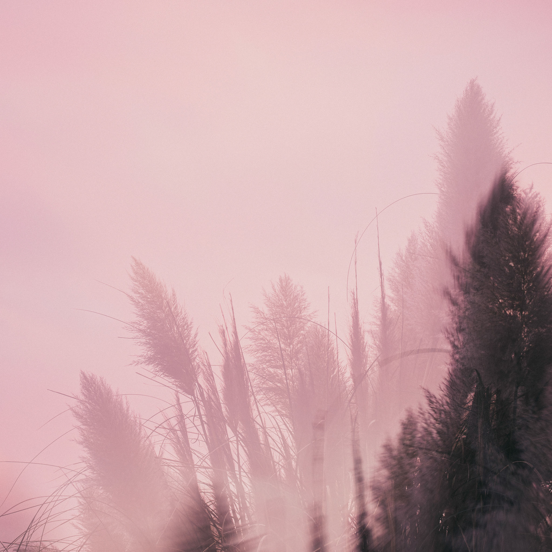 No. 07:25