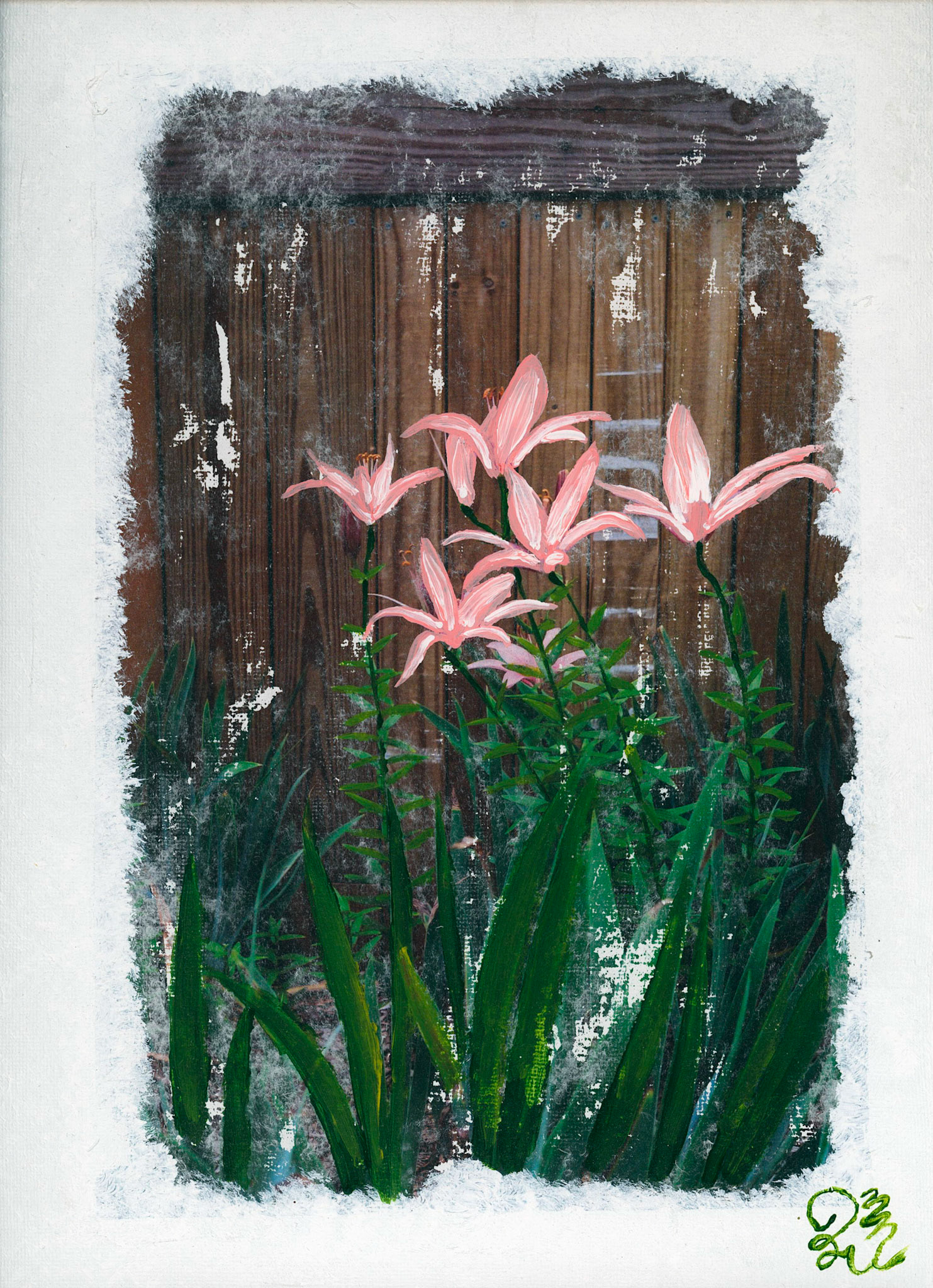 Lilies #2
