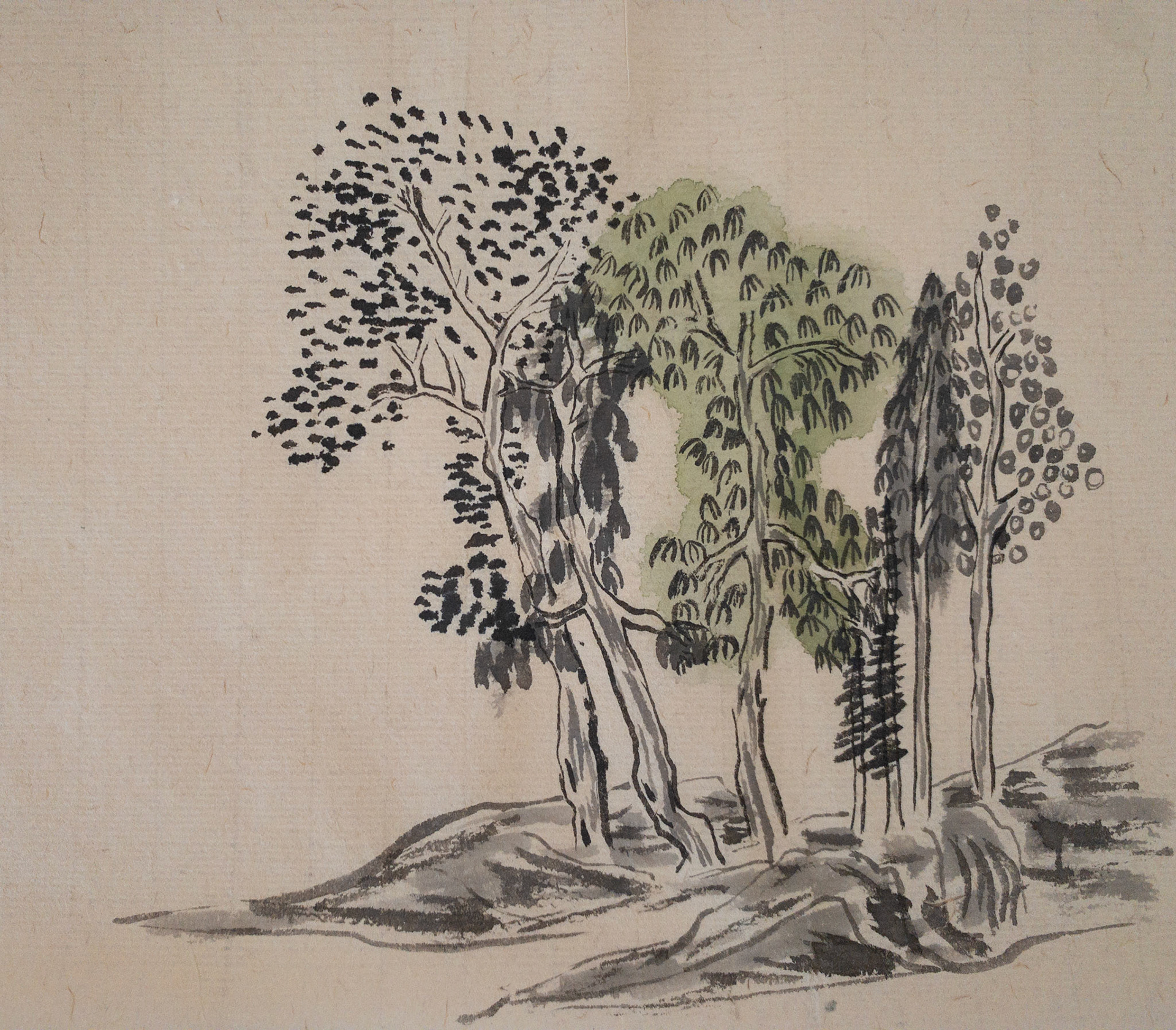 Tree Study 1