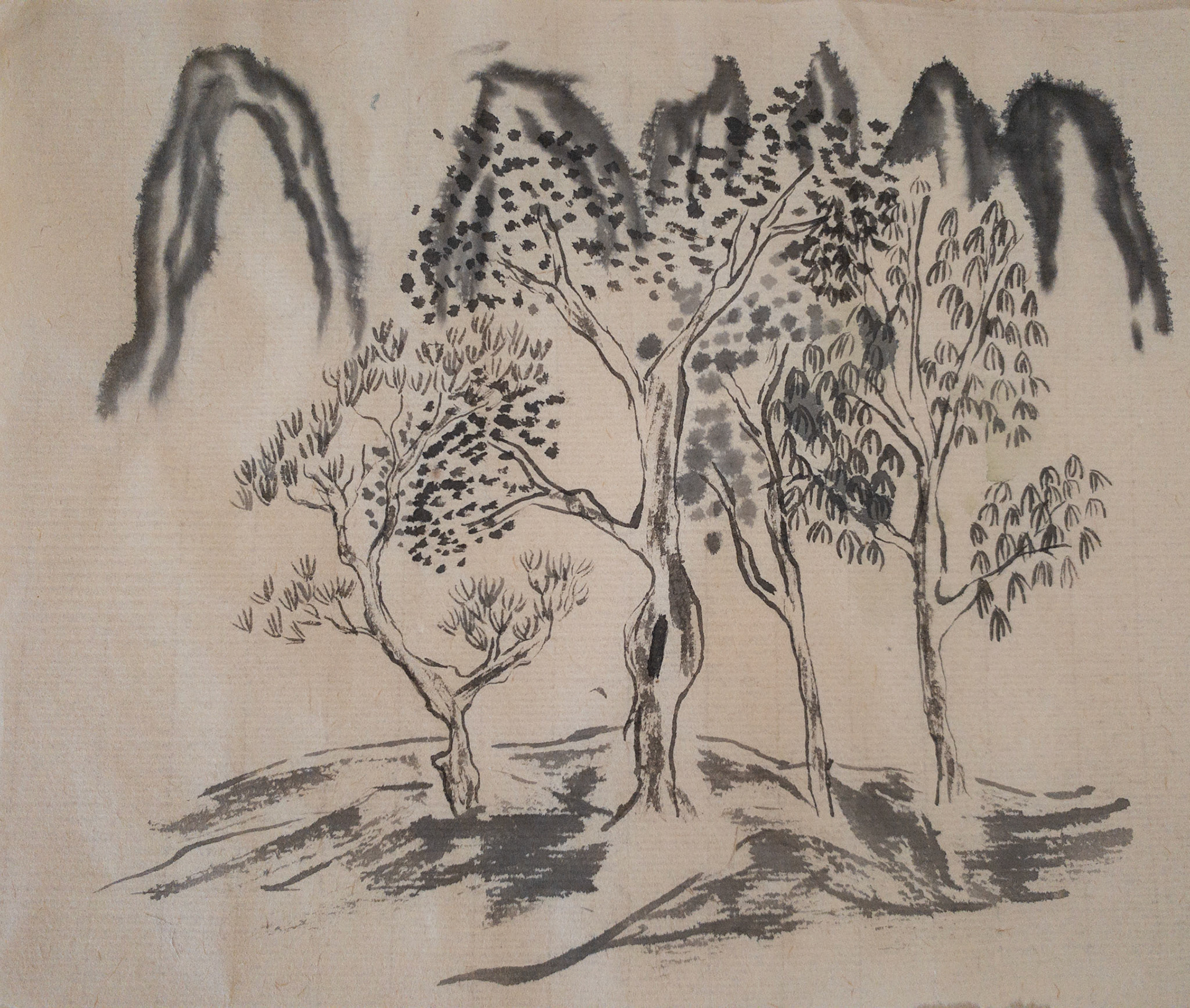 Tree Study 2