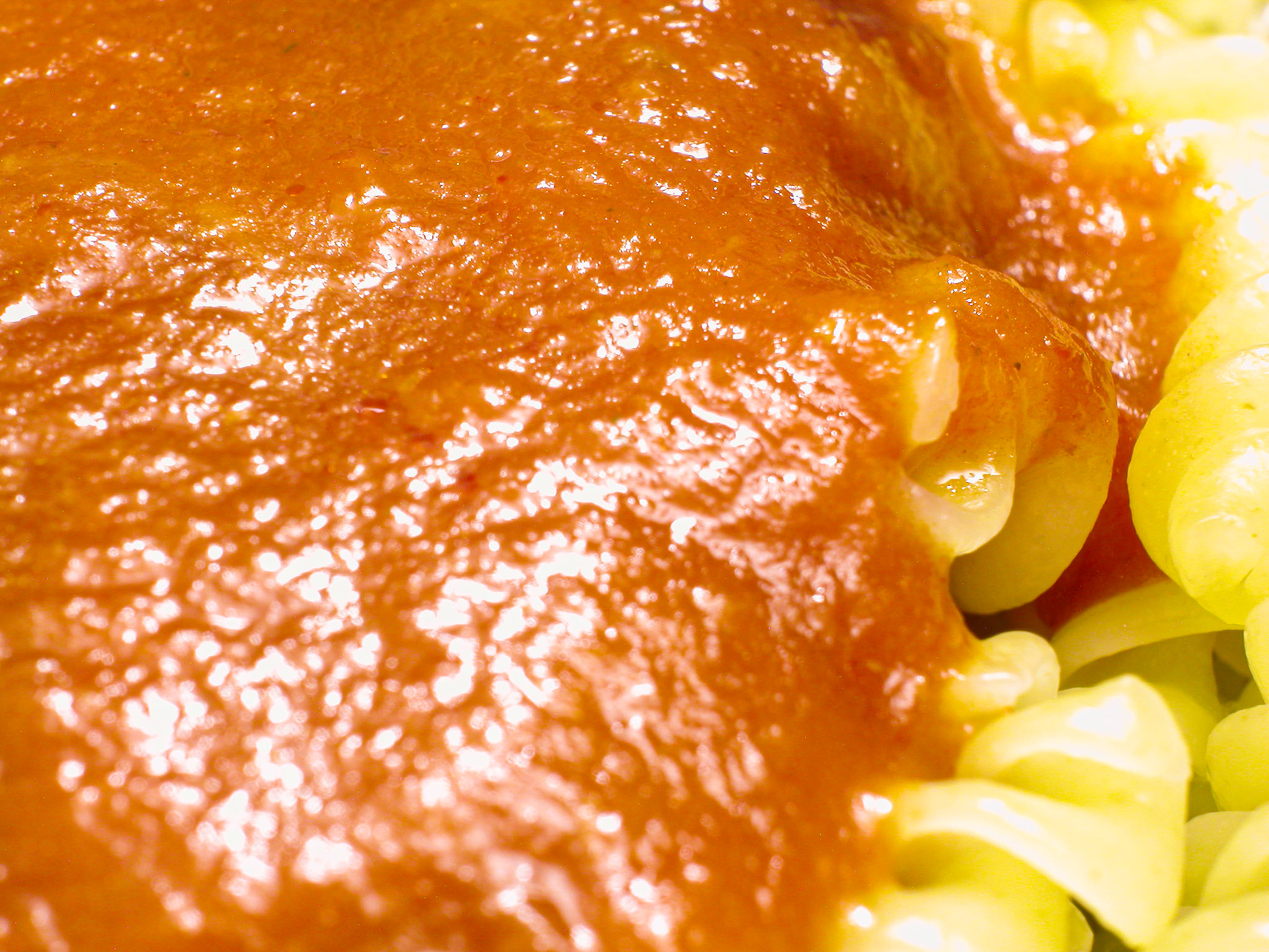 Rotini and Tomato Sauce
