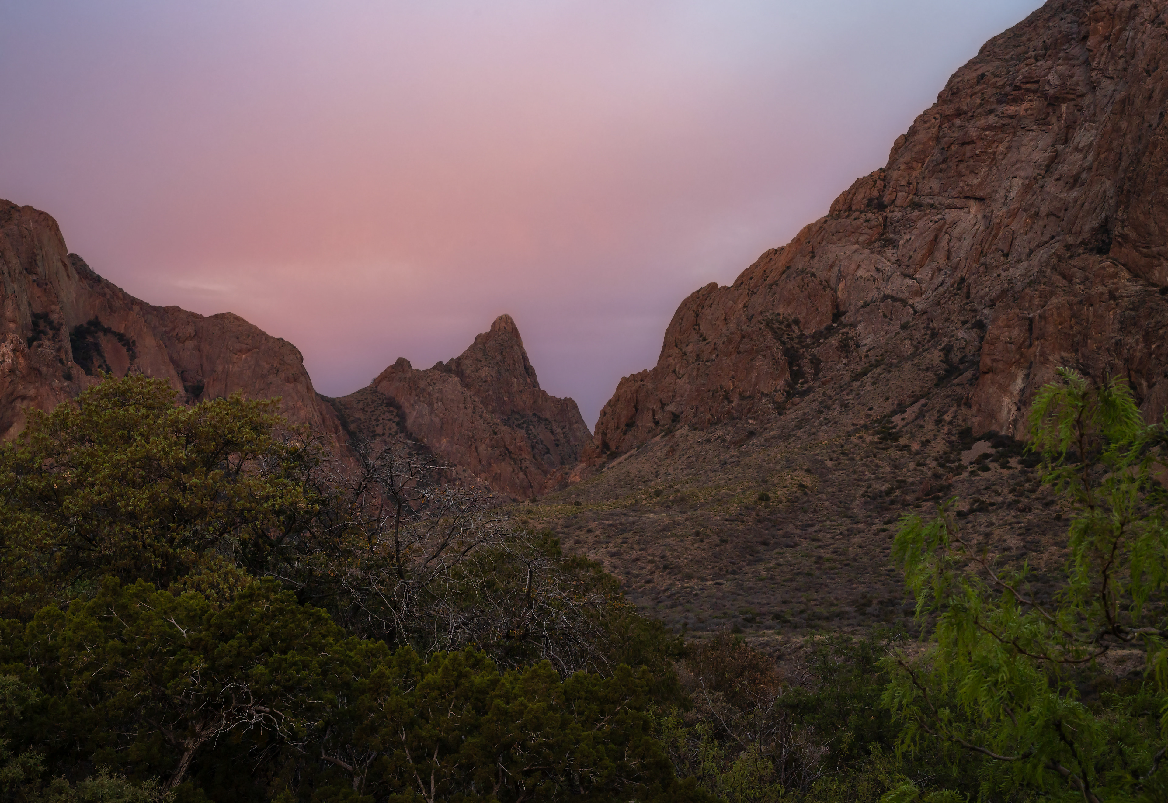 Big Bend National Park Chisos Mountians - Window View Trail 4-12-24