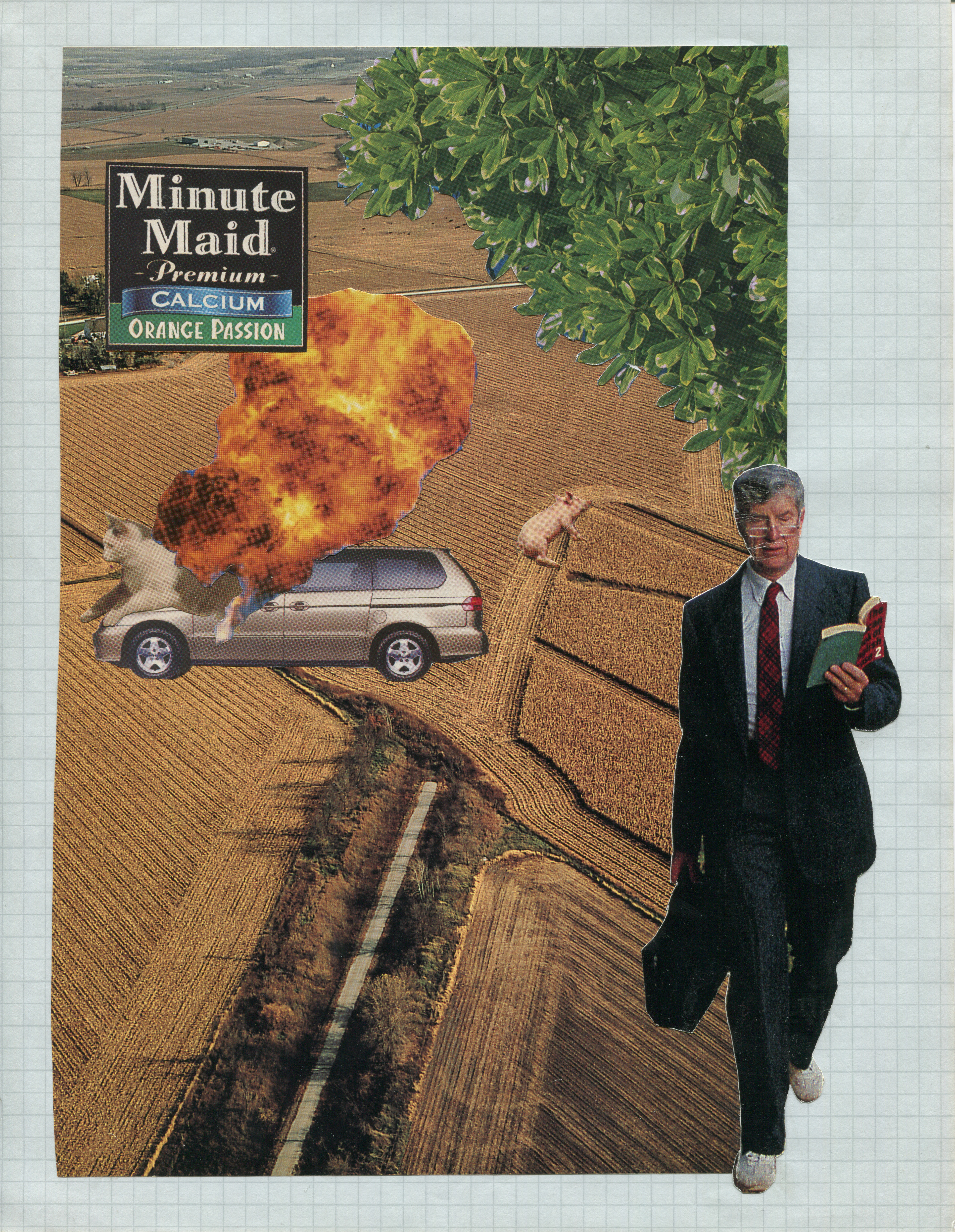 Collage (6), 2020.