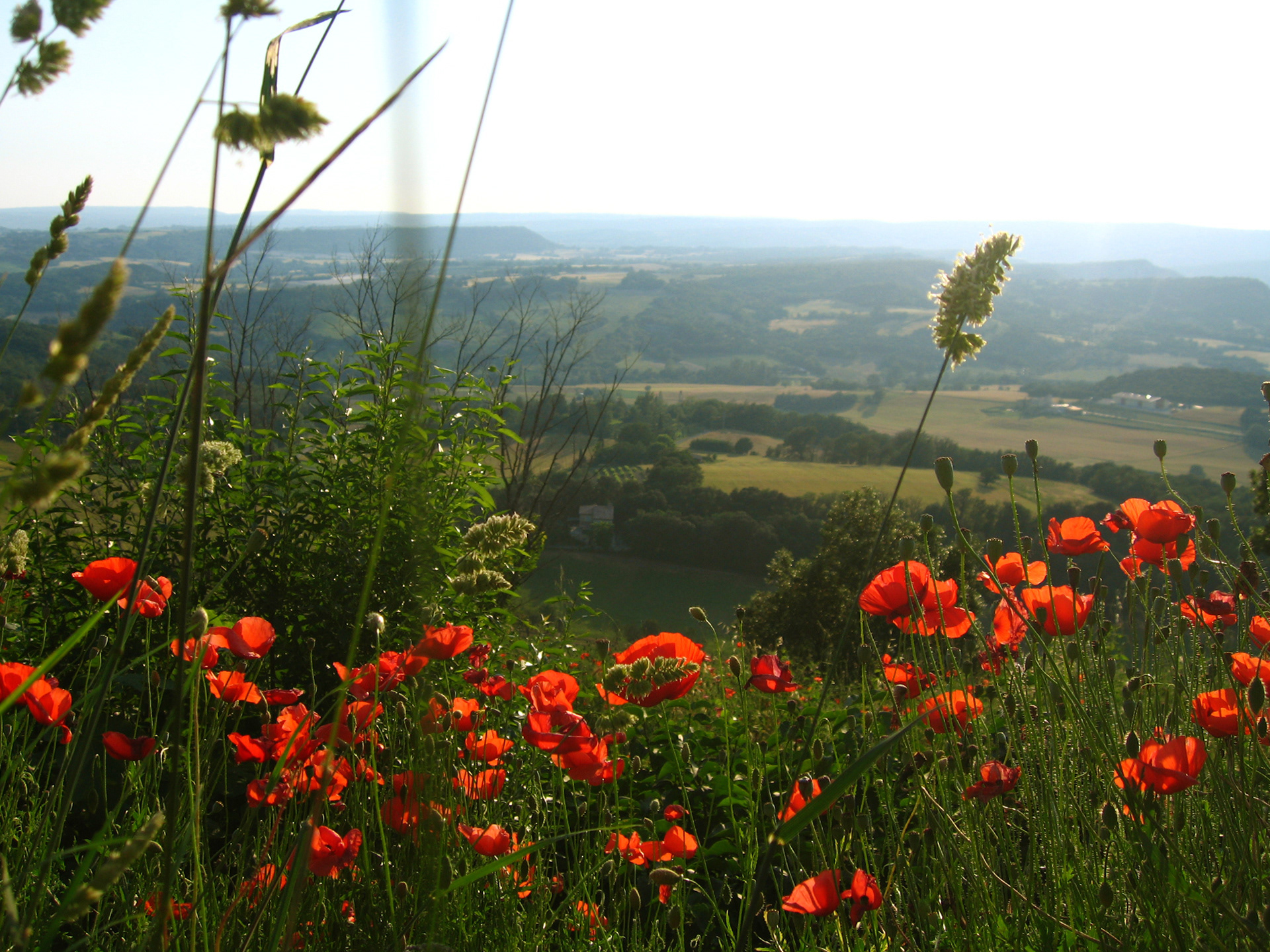 The Luberon Valley