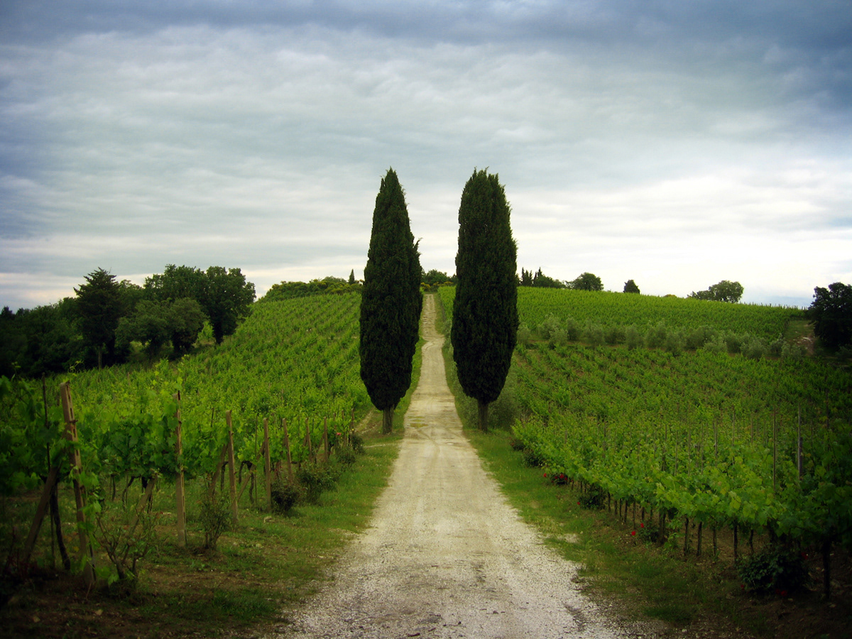 Greve in Chianti
