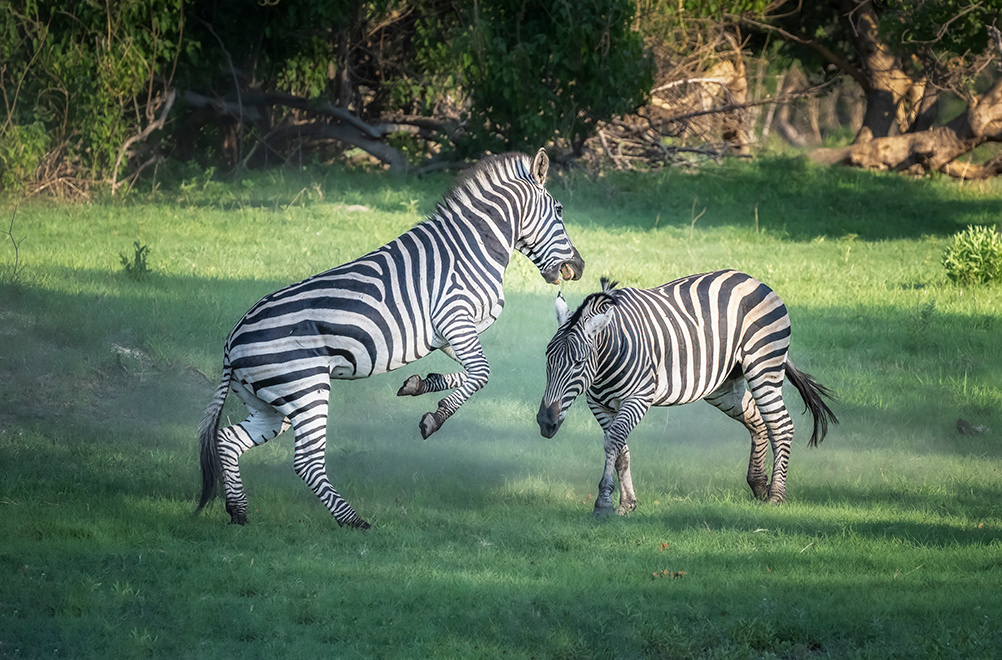 Botswana